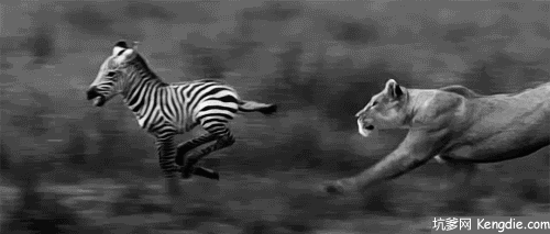 500_213gif 动态图 动图