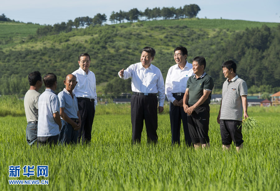 　2015年7月16日，习近平总书记在吉林延边州和龙市东城镇光东村稻田同村民和农技人员交流。 新华社记者 谢环驰/摄