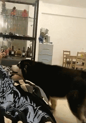 294_422竖版 竖屏gif 动态图 动图