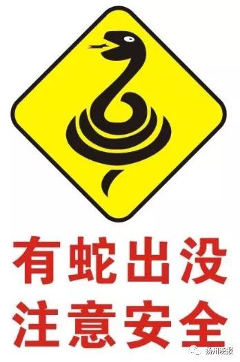 女子打开冰箱 突然看到一双眼睛盯着她