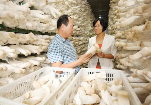 果香黑林的"领路人" —黑林镇党委书记马秀云|赣榆_新浪财经_新浪网