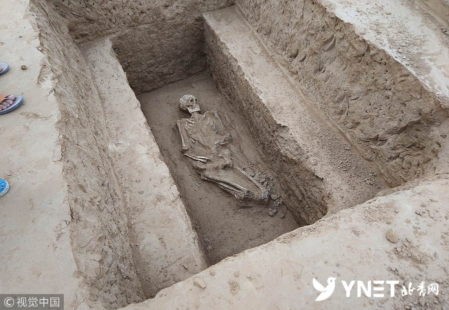 郑州再现百余座古墓 "砖券墓"进入人们视野