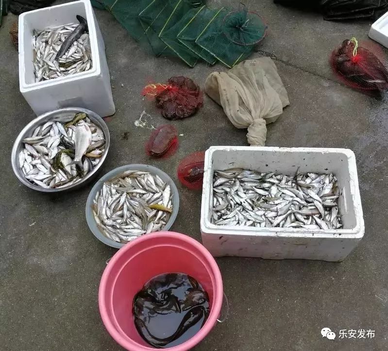 为巩固整治成果,县非法"电鱼,毒鱼,炸鱼"整治联合执法队将开展常态化