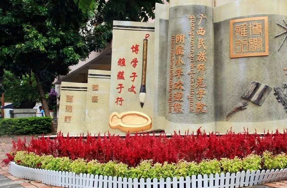 崇左这所学校被教育部点名!因为