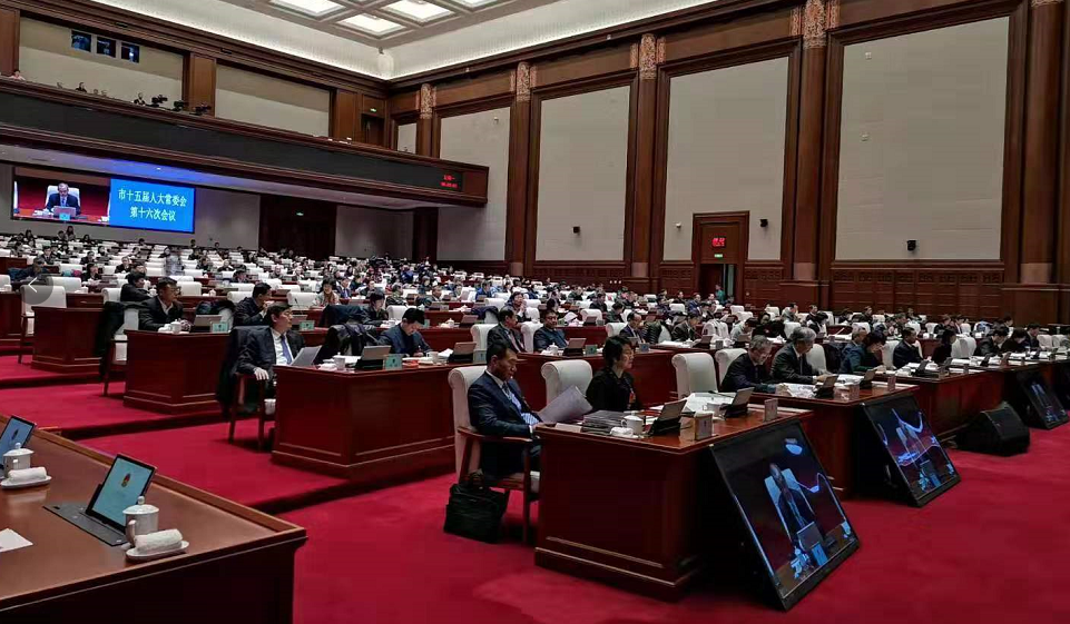 审议现场。