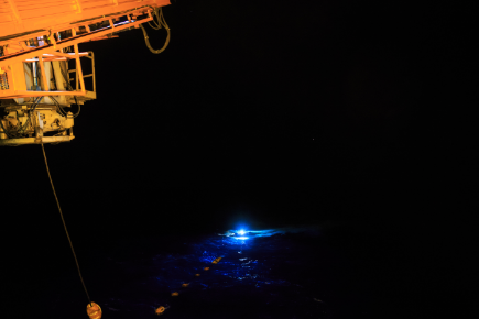 “海龙Ⅲ”ROV在西北太平洋海山区试验应用成功|海龙|西北太平洋|山区|深海|作业_新浪新闻