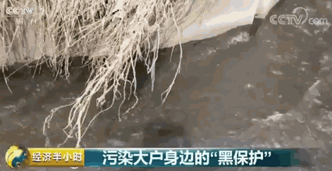 央视三问:谁才是污染大户身边的“黑保护”?