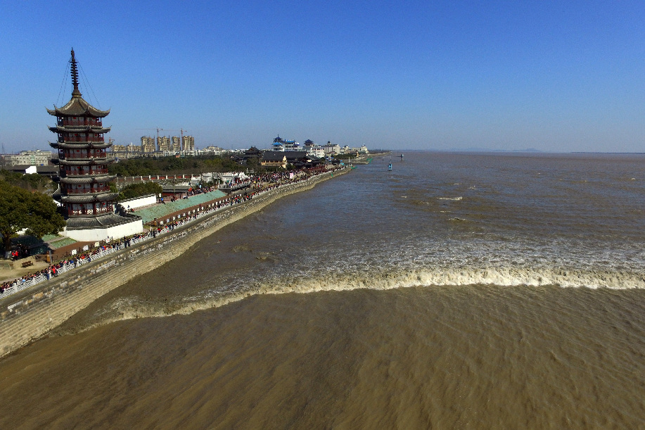 之江观察|找准融入大都市区的定位