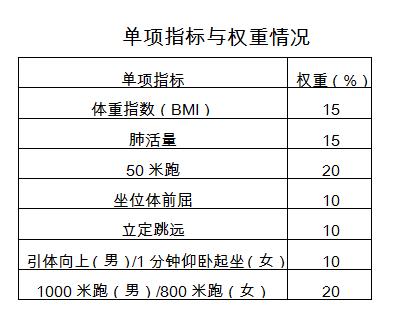 大学生体测单项权重情况