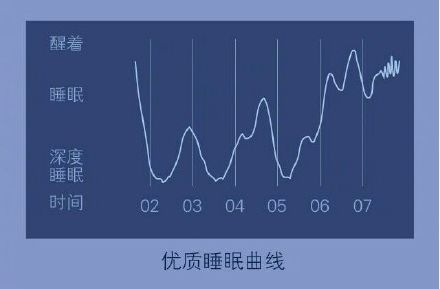 今天是世界睡眠日 小编看见了睡眠曲线对比图,分享一下