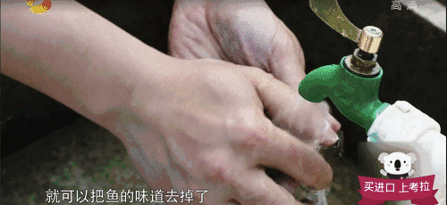 500_230gif 动态图 动图