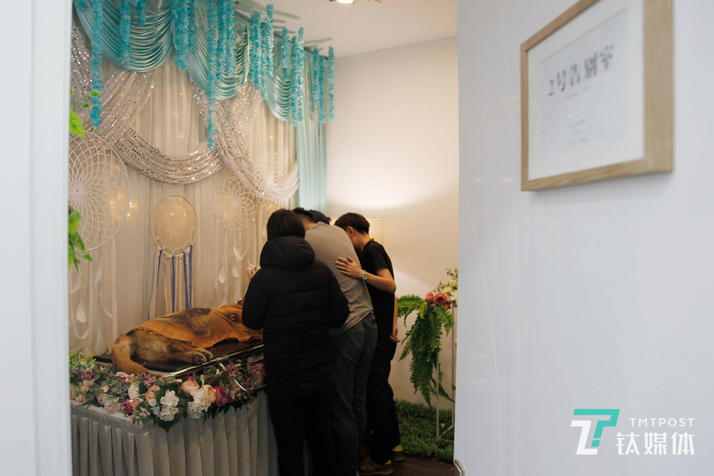 宠物殡葬3年火化6000只宠物4亩墓地可安葬250只丨钛媒体影像在线