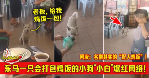 图源:RedChili 21
