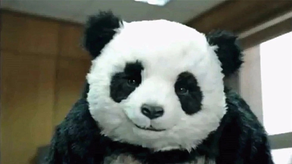 熊猫芝士广告图片