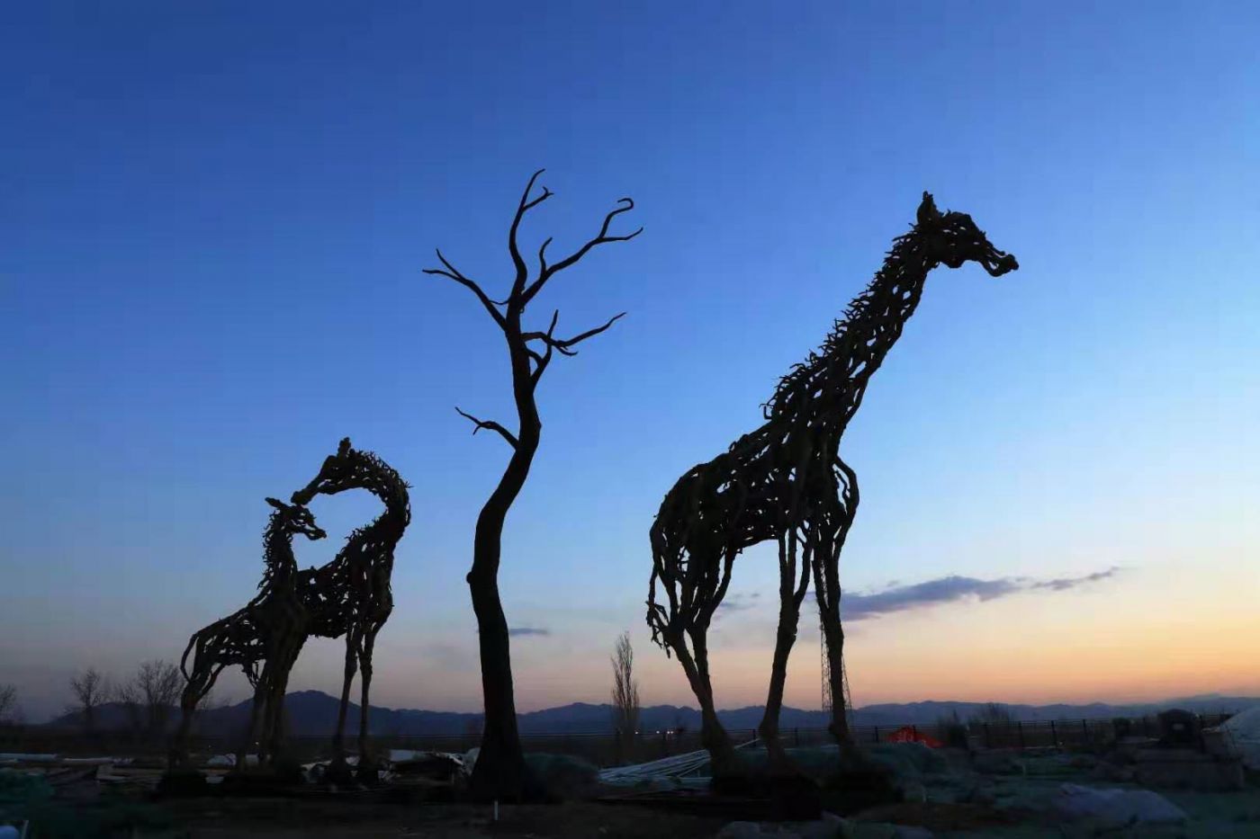 【世园直击】北京世园会再推四条趣玩路线