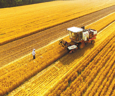 全国麦收过八成