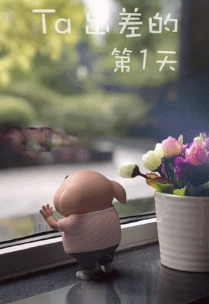 可以说,猪小屁就是一只能呆会萌,闷骚可爱又治愈的猪.