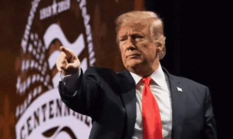 461_275gif 动态图 动图