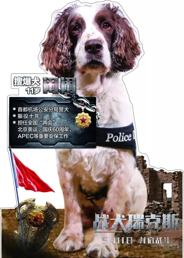 【970爱上电影】拿好,这是你的电影票|战犬瑞克斯|瑞克斯|军犬_新浪