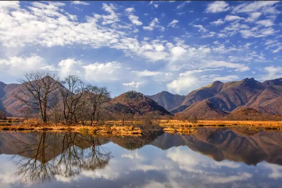 云南又有2个地方拿了国际大奖!|云南|湿地|滇池_新浪新闻