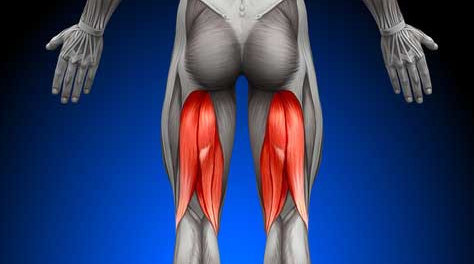 强化大腿后侧肌群