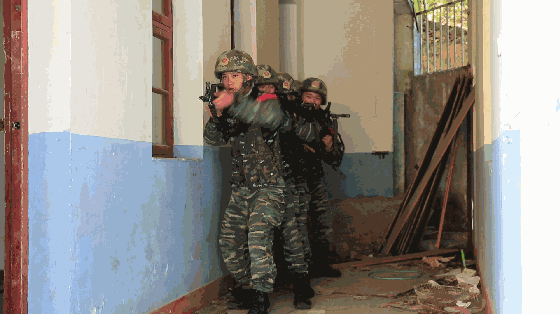 560_314gif 动态图 动图