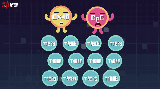 简单来说,就是调动人体自身免疫系统去和肿瘤斗争,而不是主动出马