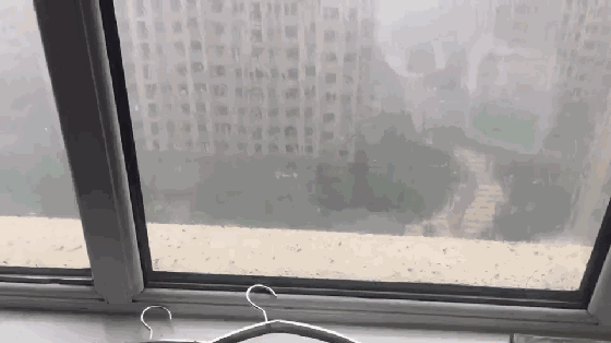 560_314gif 动态图 动图