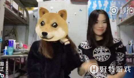 抖音甩狗头在哪里 抖音没有甩狗头特效怎么办