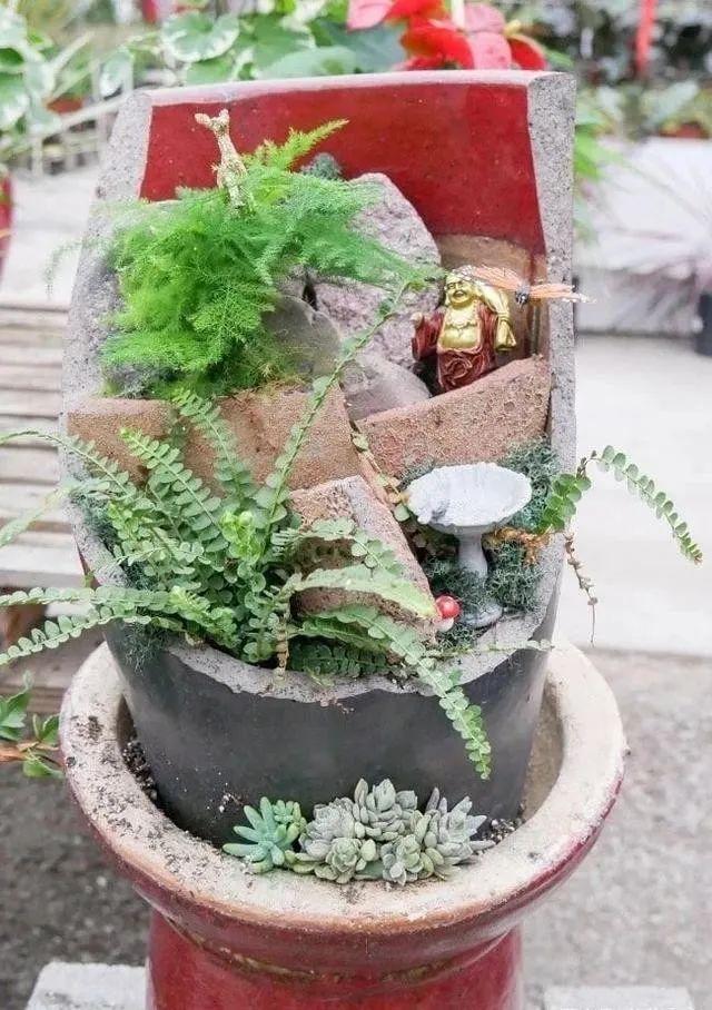 不小心打碎了花盆,这样处理变盆景,价值能翻倍!