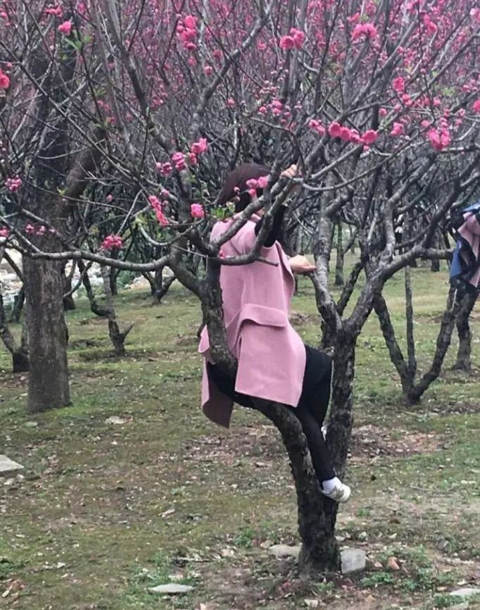 天津桃花堤来了一批踩花高手大天津喊你来道歉