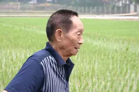 米寿老人袁隆平做完这两件事我就心满意足可以退休了