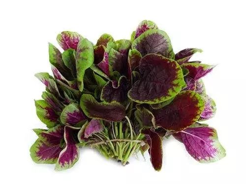 这蔬菜比菠菜更补钙,被称为"长寿菜",端午前后吃,赛过吃补药!