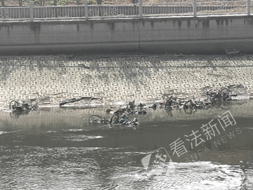 通惠河中出现大量共享单车。摄/记者 董振杰