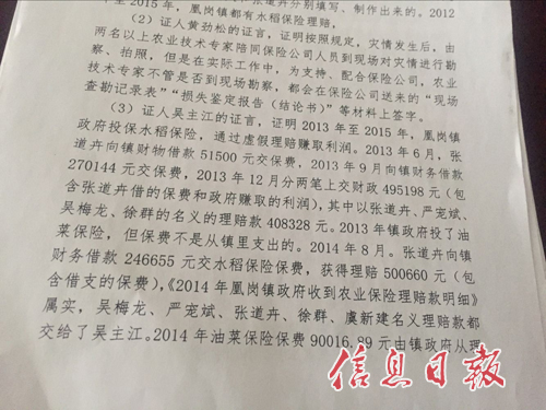 吴主江以证人身份出具证言：凰岗镇政府投保水稻保险，通过虚假理赔赚取利润。