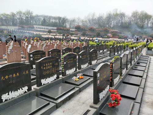 普觉寺陵园剩余墓穴不足200个南京大力推广各类生态节地葬