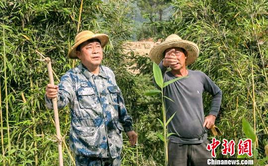 福建尤溪退役军人返乡当村官赌博村变美丽乡村