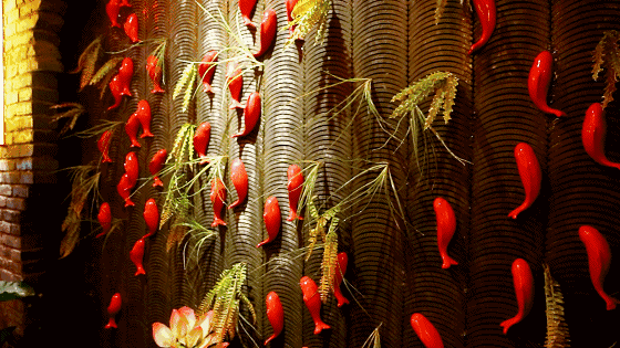 560_315gif 动态图 动图