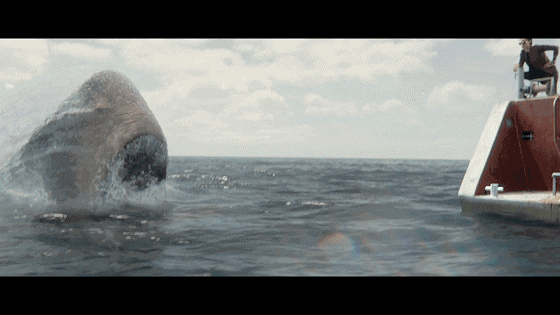 一周快评一出好戏巨齿鲨爱情公寓