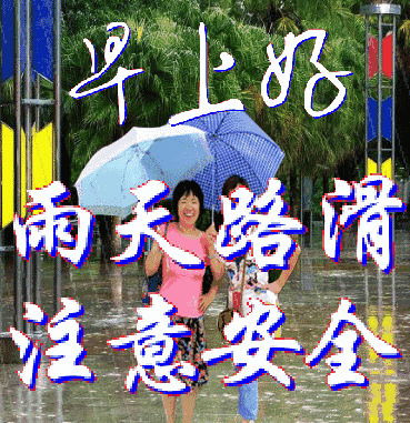 30早上好送你最全的早上好表情图片太美了快收藏