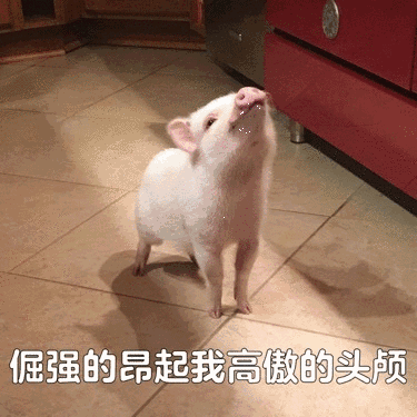 375_375gif 动态图 动图