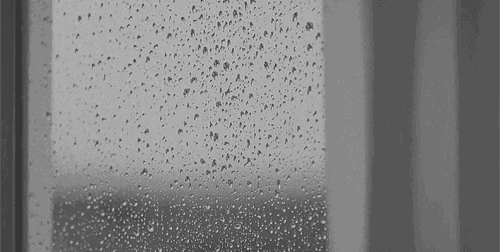 这个春夜,有雨敲窗