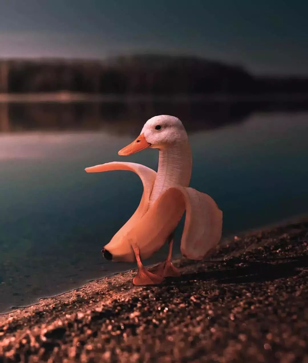 真好玩摄影师教你如何用照片称霸朋友圈