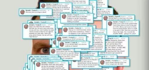 特朗普推文的炮制者是否只有斯科维诺一人呢