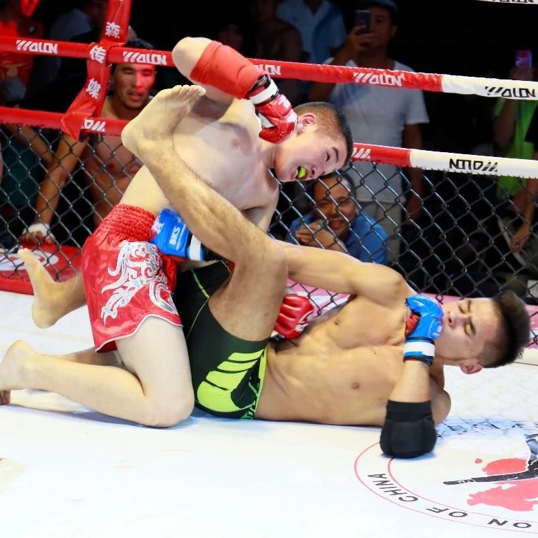 集锦:选手血洒战场 十字固锁喉频现擂台