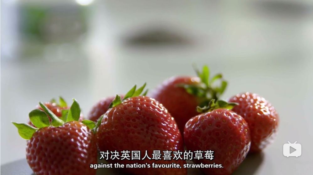 草莓人口_草莓卡通图片(3)
