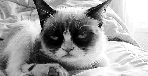 朋克养生?其实是花样作死小能手!