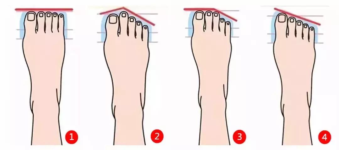 脚趾|性格|长度_新浪新闻