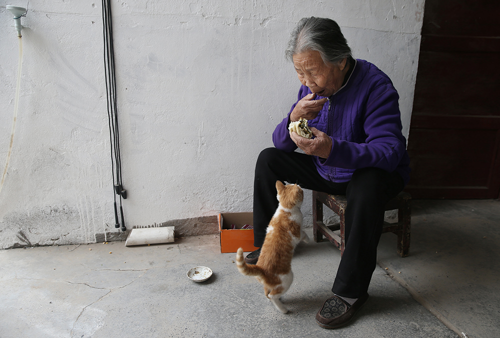 小橘猫四个月大，是金山从路边捡回来的流浪猫，送给母亲作伴。