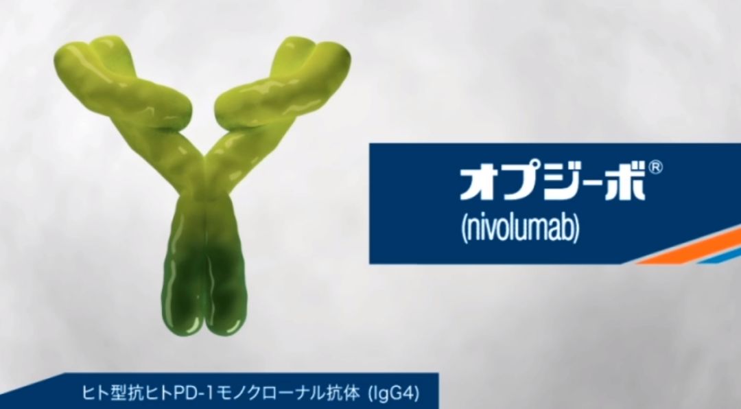 大量外国人涌入日本看病治疗,医药费也只需负